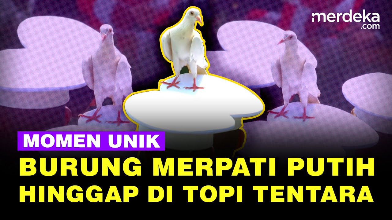 Youtube Thumnail image of :