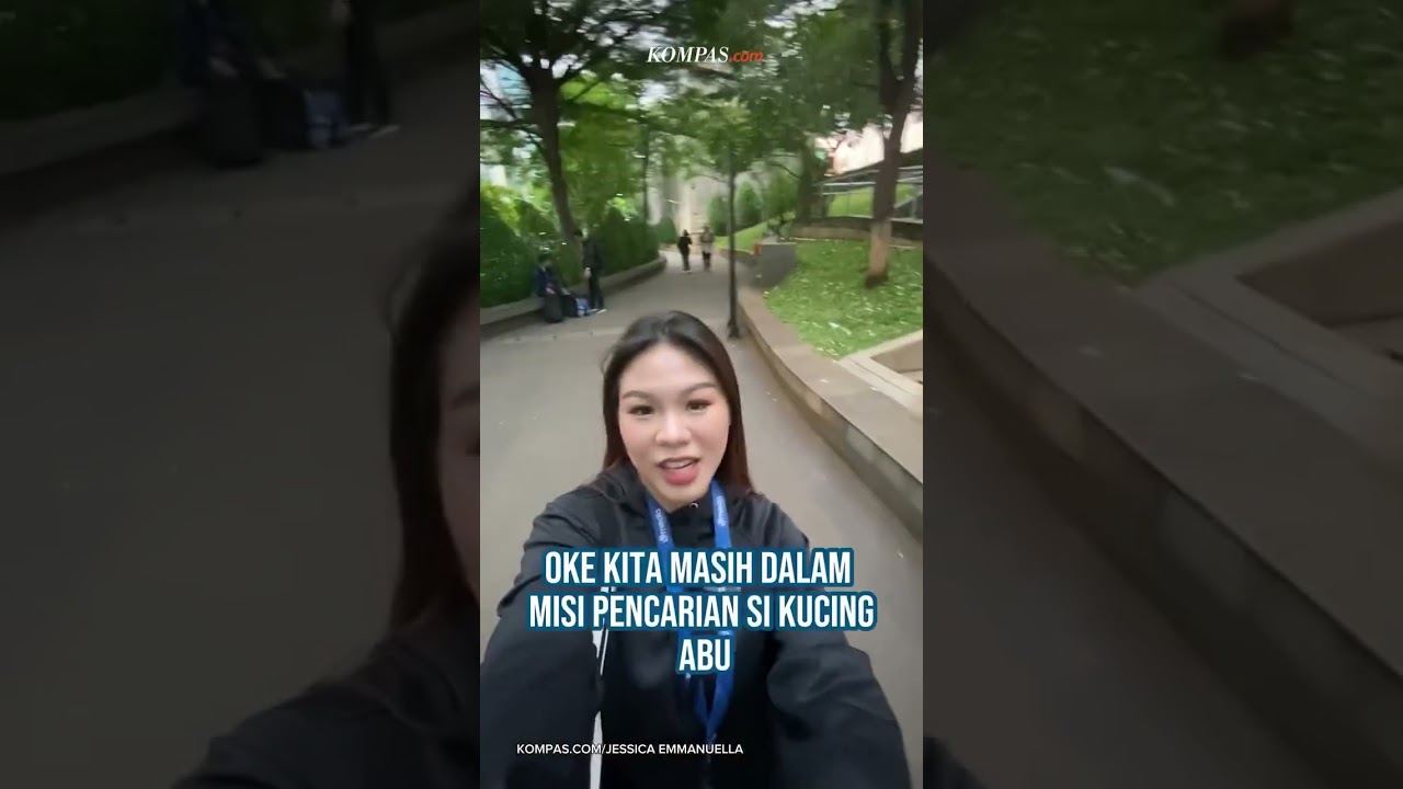 Youtube Thumnail image of : Kucing Abu dan Gengnya, Bintang Baru di Stasiun MRT Dukuh Atas