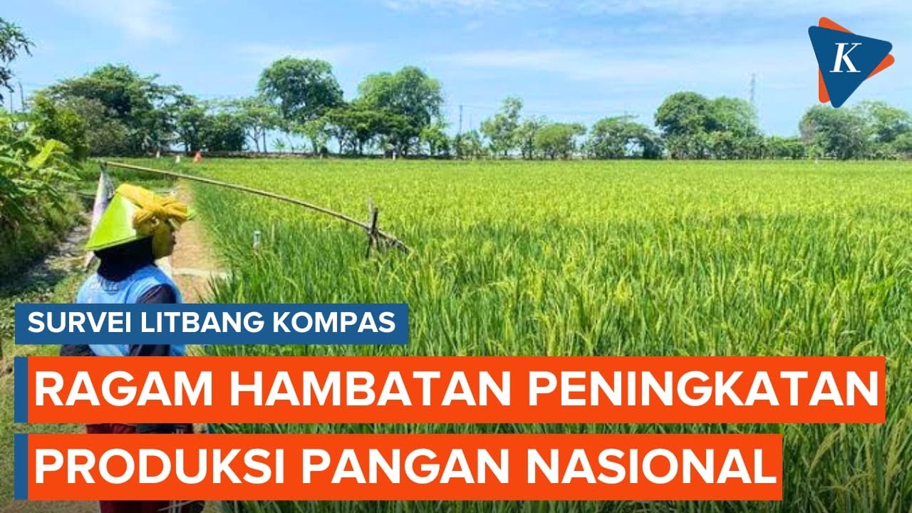 Youtube Thumnail image of : Produksi Pangan Nasional Dibayangi Krisis Iklim dan Lambatnya Distribusi Pupuk
