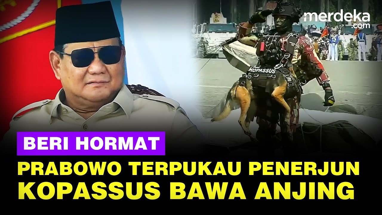 Youtube Thumnail image of : Prabowo Terpukau Langsung Beri Hormat Lihat Prajurit Kopassus Bawa Anjing Terjun Payung