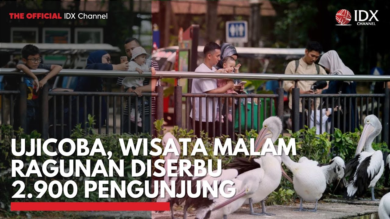 Youtube Thumnail image of : Ujicoba, Wisata Malam Ragunan Diserbu 2.900 Pengunjung