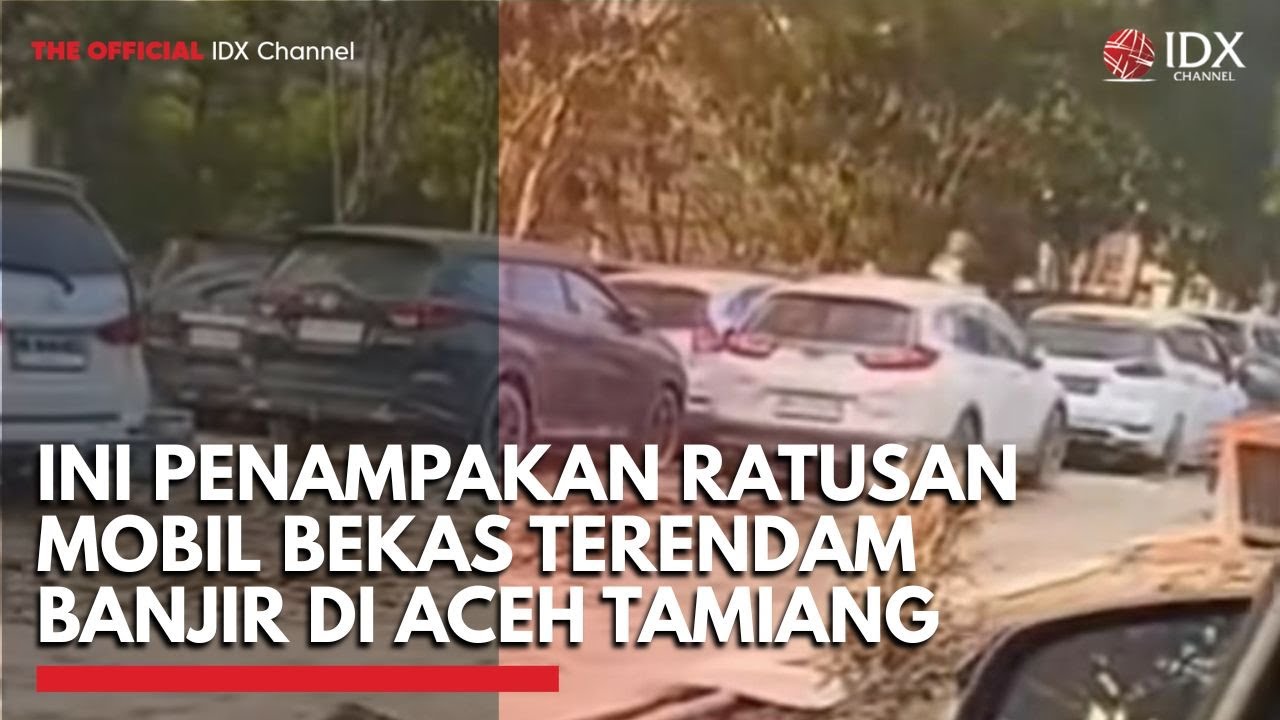 Youtube Thumnail image of : Ini Penampakan Ratusan Mobil Bekas Terendam Banjir di Aceh Tamiang | IDXC UPDATE