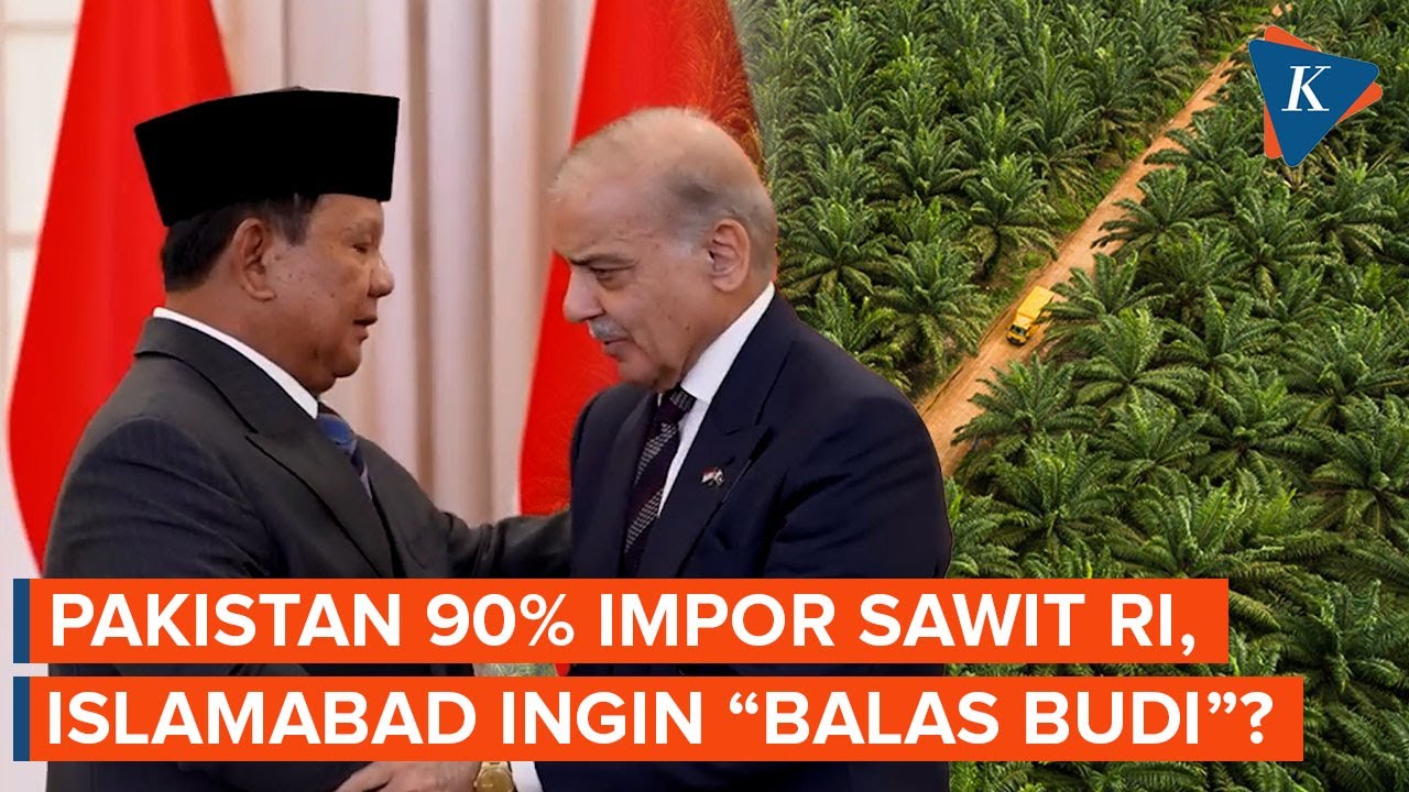 Youtube Thumnail image of : Impor Minyak Sawit Indonesia, PM Pakistan Mau "Balas Budi" Dagang di Depan Prabowo