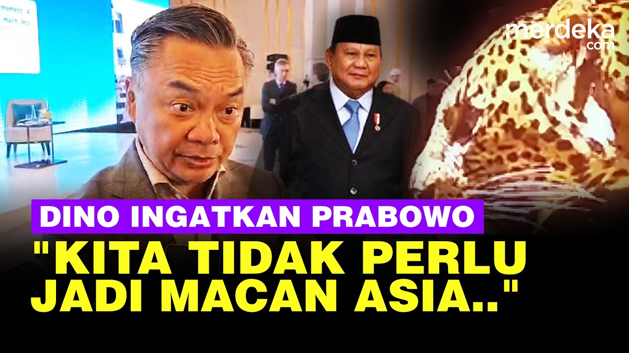 Tajam Eks Wamenlu Dino Patti Djalal Ingatkan Prabowo: Kita Tak Perlu Jadi Macan Asia, Tapi..