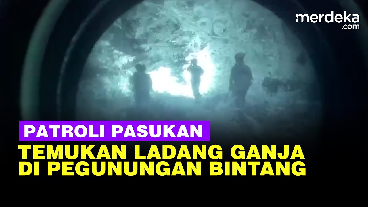 Patroli Pasukan Tim Gabungan Satgas Damai Cartenz Temukan Ladang Ganja di Pegunungan Bintang